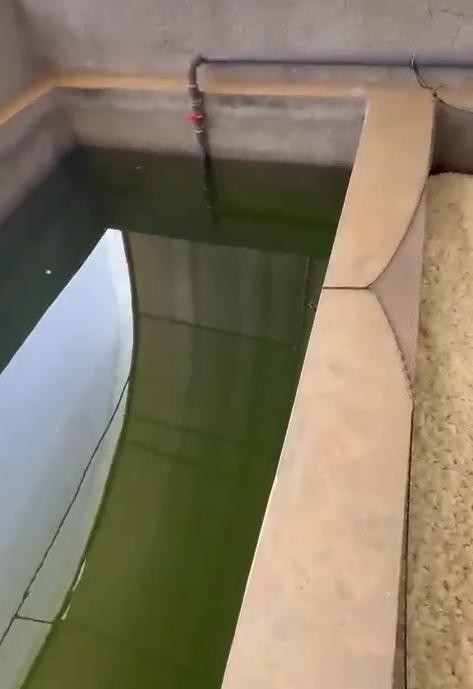 news-473-689 news-473-689